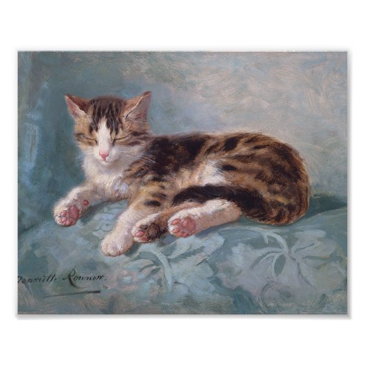 Sleepy Kitten van Henriette Ronner-Knip Foto Afdruk (Voorkant)