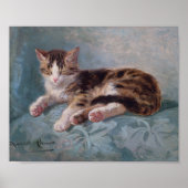 Sleepy Kitten van Henriette Ronner-Knip Poster (Voorkant)