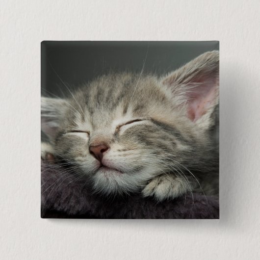 Sleepy Kitten Vierkante Button 5,1 Cm (Voorkant)