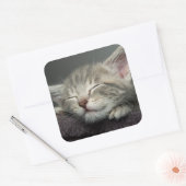 Sleepy Kitten Vierkante Sticker (Envelop)