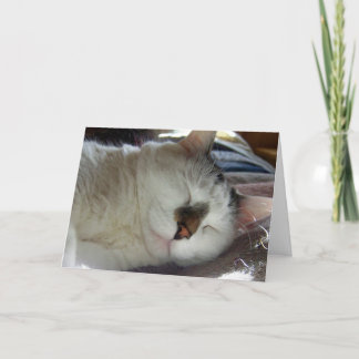 Sleepy kitty Birthday Kaart