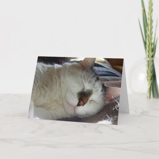 Sleepy kitty Birthday Kaart (Voorkant)