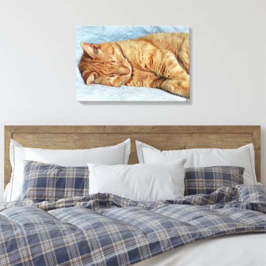 Sleepy Kitty Canvas Afdruk (Insitu (Slaapkamer))
