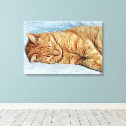 Sleepy Kitty Canvas Afdruk (Insitu (Houten vloer))