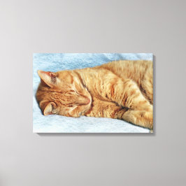 Sleepy Kitty Canvas Afdruk
