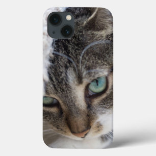 Sleepy Kitty Case-Mate iPhone Case