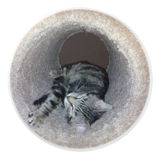 Sleepy Kitty Cat van Shirley Taylor Keramische Knop (Voorkant)
