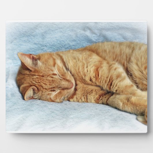 Sleepy Kitty Fotoplaat (Voorkant)