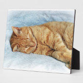 Sleepy Kitty Fotoplaat (Zijkant)