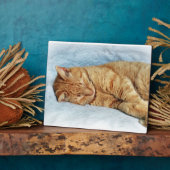 Sleepy Kitty Fotoplaat (Zijkant)