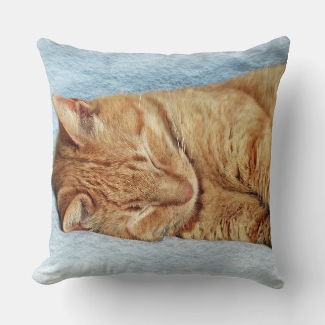 Sleepy Kitty Kussen (Voorkant)