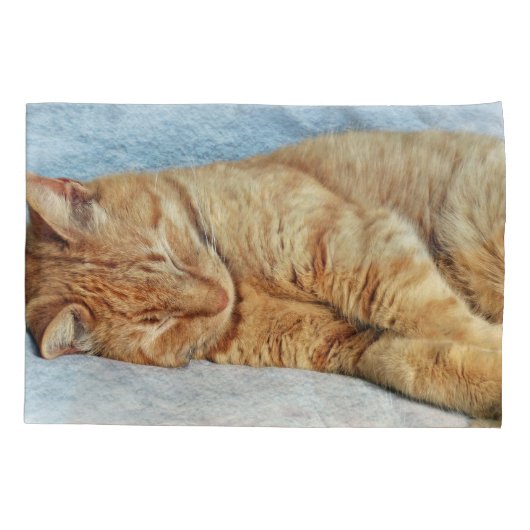 Sleepy Kitty Kussensloop (Achterkant)