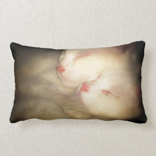 Sleepy Kittys Pillow Kussen