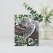 Sleepy Koala Briefkaart (Staand voorkant)