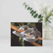 Sleepy Koala Briefkaart (Staand voorkant)