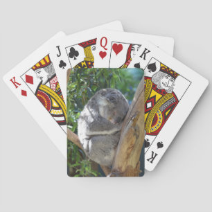 Sleepy Koala in de boom Pokerkaarten