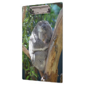 Sleepy Koala Klembord (Links)