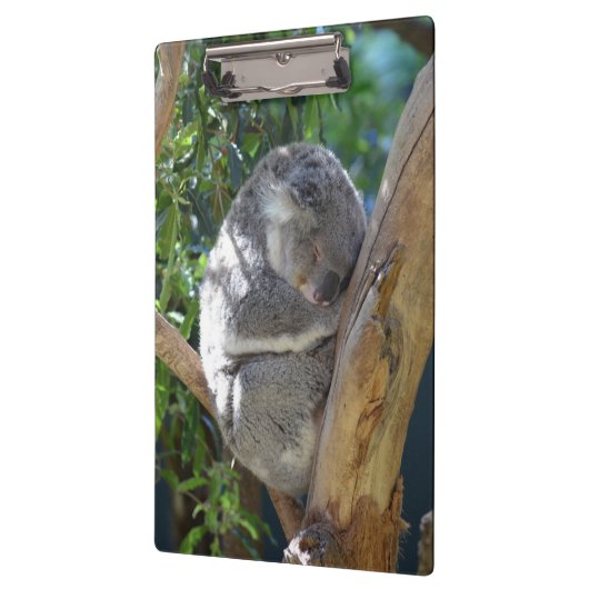 Sleepy Koala Klembord (Links)