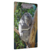 Sleepy Koala Klembord (Rechts)