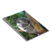 Sleepy Koala Notitieboek (Rechterzijde)