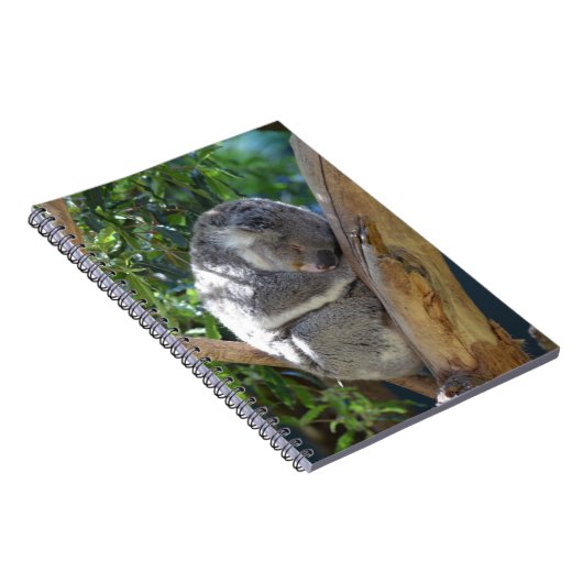 Sleepy Koala Notitieboek (Rechterzijde)