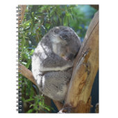 Sleepy Koala Notitieboek (Voorkant)