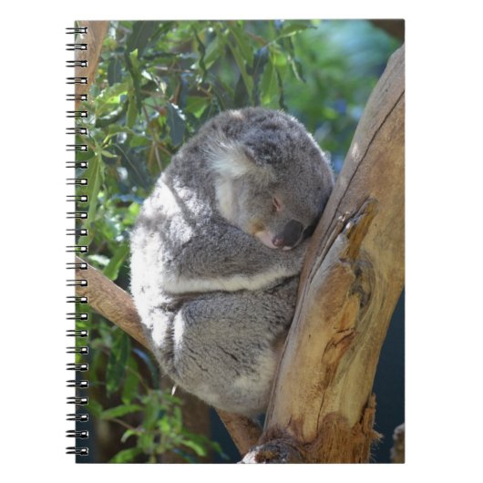 Sleepy Koala Notitieboek (Voorkant)