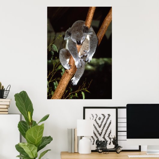 Sleepy Koala Poster (Thuiskantoor)