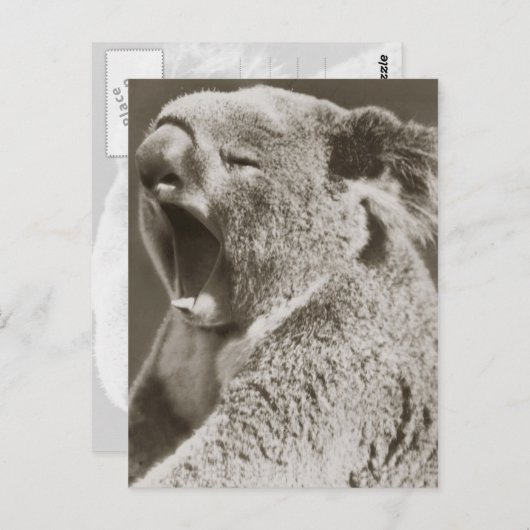 Sleepy Koala Yawning Briefkaart (Voorkant / Achterkant)
