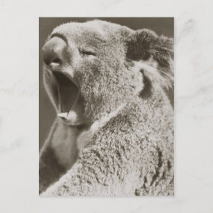 Sleepy Koala Yawning Briefkaart