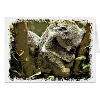 Sleepy Koalas