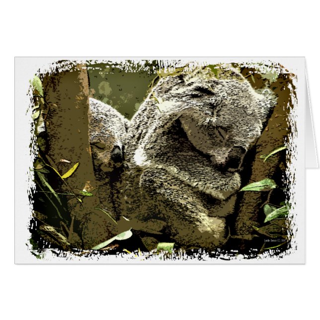 Sleepy Koalas (Voorkant Horizontaal)