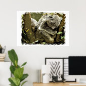 Sleepy Koalas Poster (Thuiskantoor)