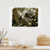Sleepy Koalas Poster (Keuken)
