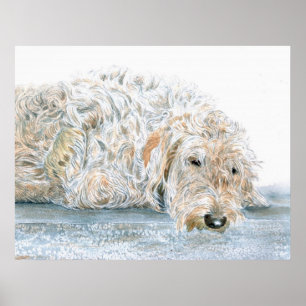 Sleepy Labradole Print