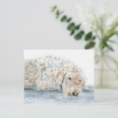 Sleepy Labradoodle Briefkaart (Staand voorkant)