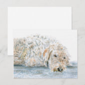 Sleepy Labradoodle Briefkaart (Voorkant / Achterkant)