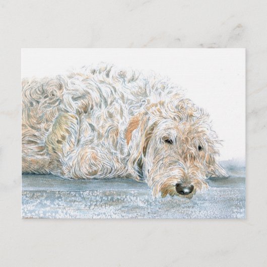 Sleepy Labradoodle Briefkaart (Voorkant)