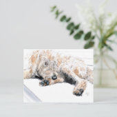 Sleepy Labradoodle Briefkaarten (Staand voorkant)