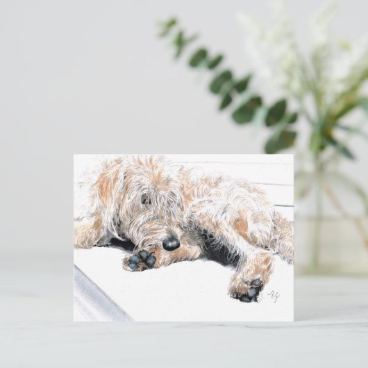 Sleepy Labradoodle Briefkaarten (Staand voorkant)