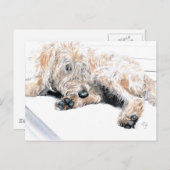 Sleepy Labradoodle Briefkaarten (Voorkant / Achterkant)