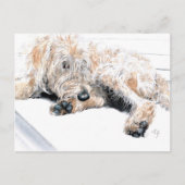 Sleepy Labradoodle Briefkaarten (Voorkant)