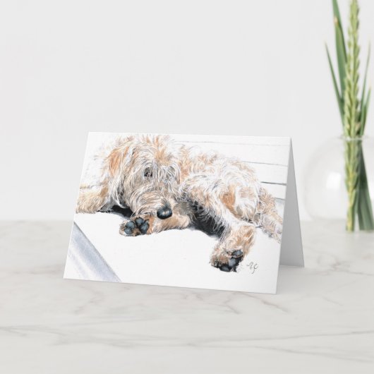 Sleepy Labradoodle Greeting Card Kaart (Voorkant)