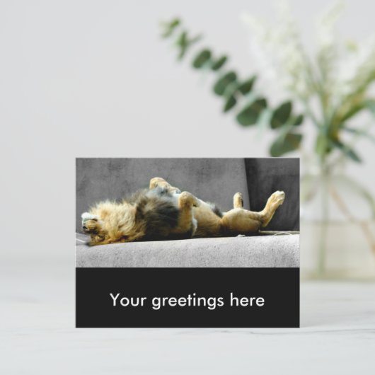 Sleepy Lion Briefkaart (Staand voorkant)