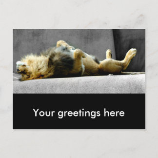 Sleepy Lion Briefkaart