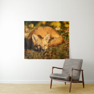 Sleepy Little Fox Wandkleed