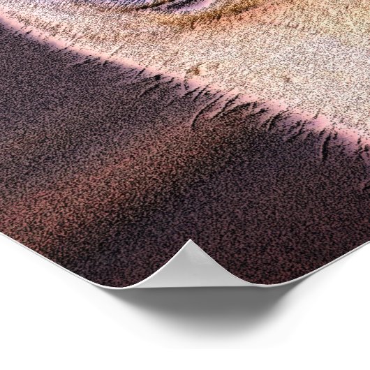 Sleepy Llama Gezicht Dierlijke Kunst Poster (Hoek)