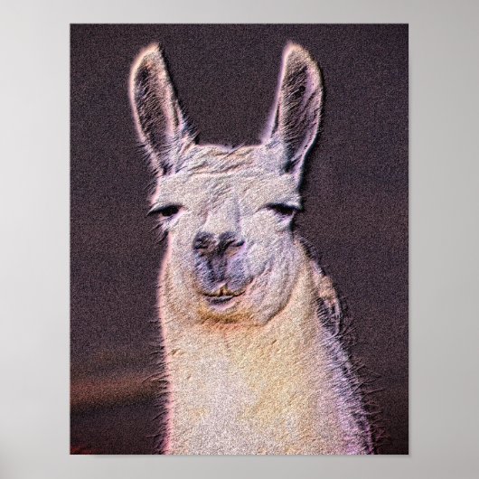 Sleepy Llama Gezicht Dierlijke Kunst Poster (Voorkant)