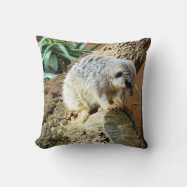 Sleepy Meerkat, Kussen