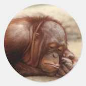 Sleepy Monkey sticker (Voorkant)